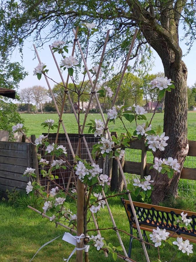 Bed and Breakfast Boven De Wol Appelscha Exterior foto