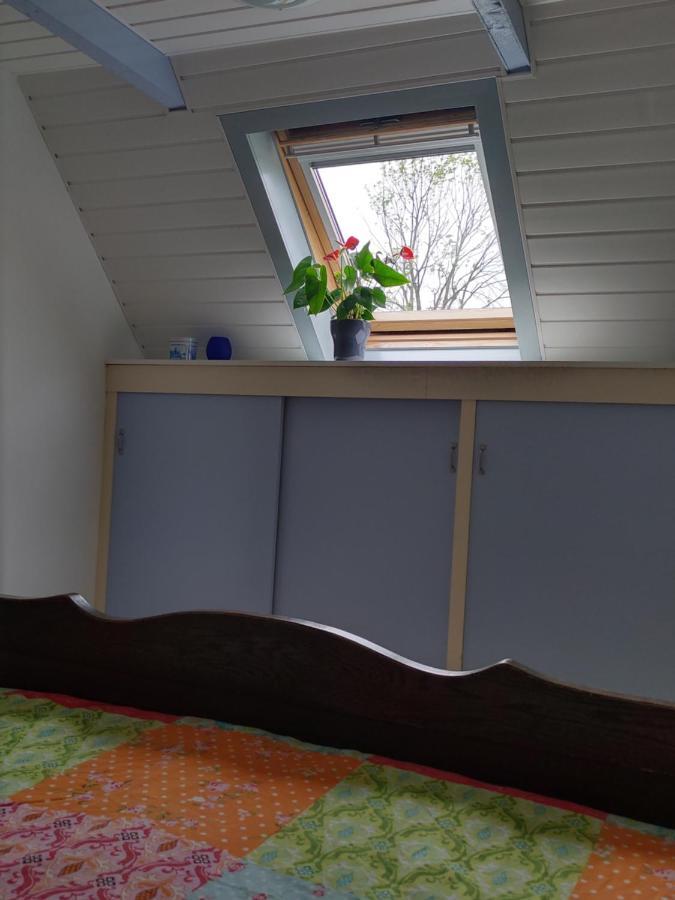 Bed and Breakfast Boven De Wol Appelscha Exterior foto